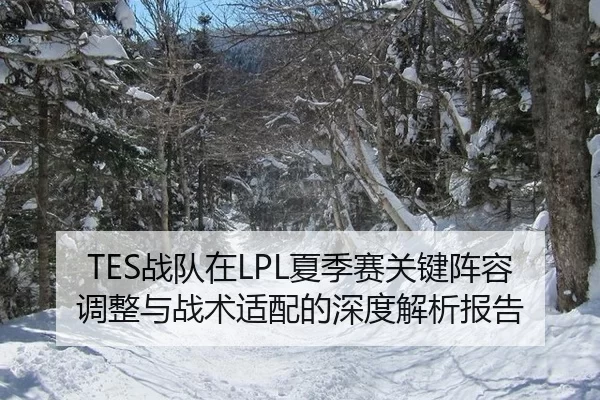 TES战队在LPL夏季赛关键阵容调整与战术适配的深度解析报告